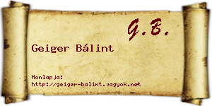 Geiger Bálint névjegykártya